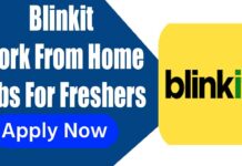 Blinkit Work From Home Jobs For Freshers