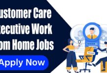 Customer Care Executive Work From Home Jobs