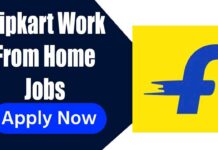 Flipkart Work From Home Jobs 12th Pass