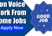 Non Voice Work From Home Jobs