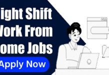 Night Shift Work From Home Jobs